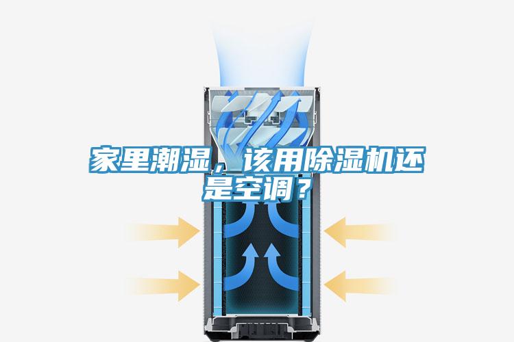 家里潮湿，该用小黄片直播视频还是空调？