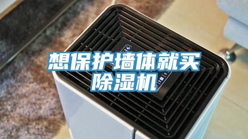 想保护墙体就买小黄片直播视频