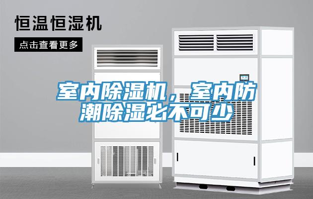 室内小黄片直播视频，室内防潮除湿必不可少