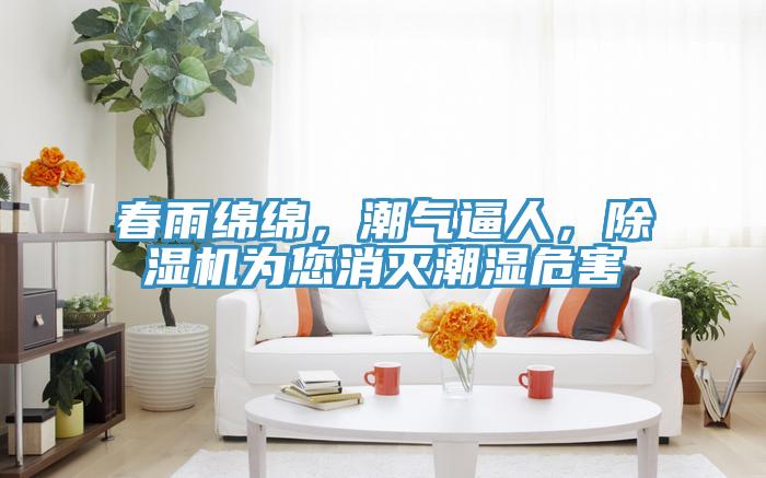 春雨绵绵，潮气逼人，小黄片直播视频为您消灭潮湿危害