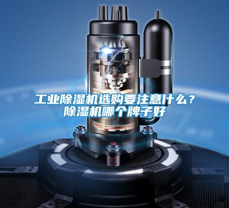工业小黄片直播视频选购要注意什么？小黄片直播视频哪个牌子好