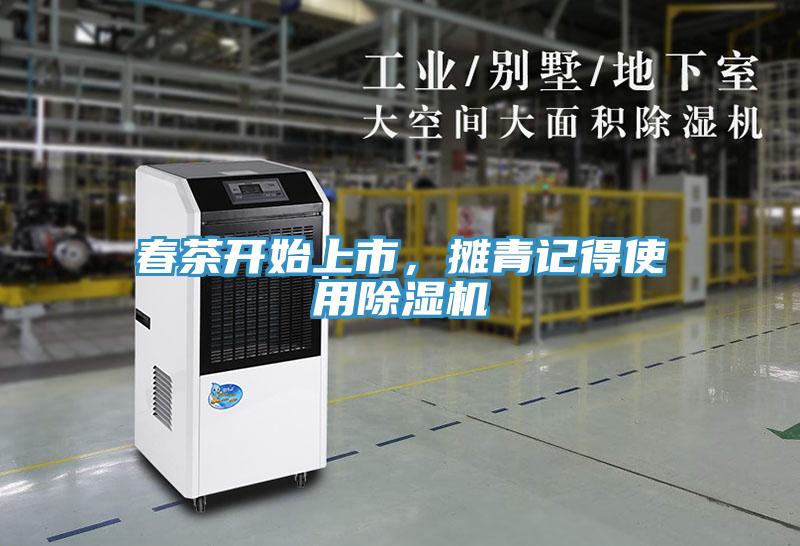 春茶开始上市，摊青记得使用小黄片直播视频