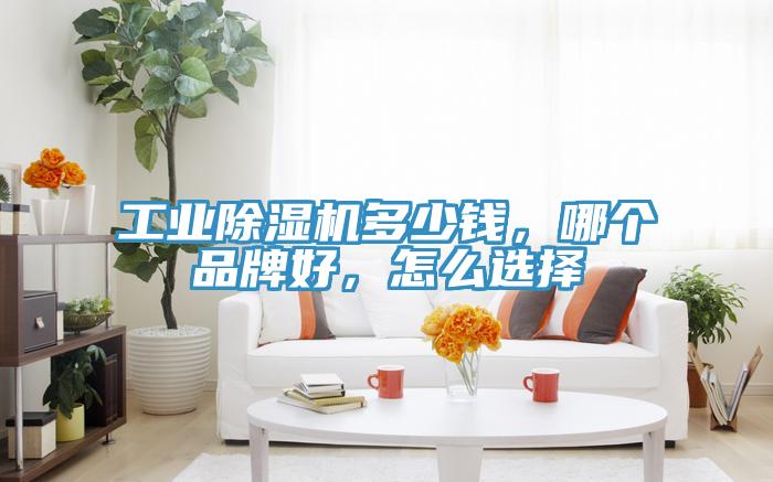 工业小黄片直播视频多少钱，哪个品牌好，怎么选择