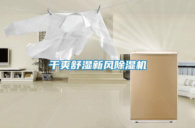 干爽舒湿新风小黄片直播视频