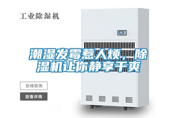 潮湿发霉惹人烦，小黄片直播视频让你静享干爽