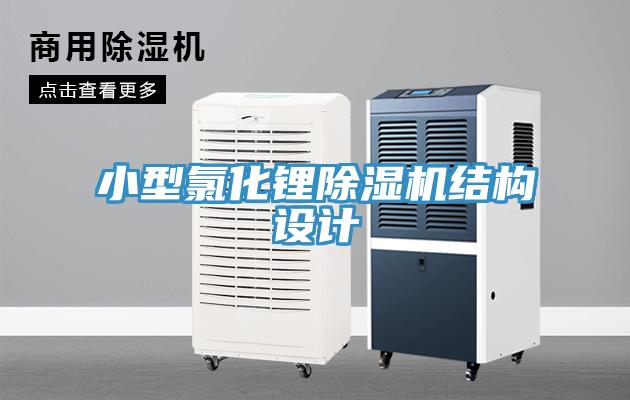 小型氯化锂小黄片直播视频结构设计