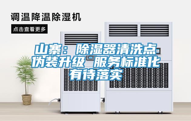 山寨：除湿器清洗点伪装升级 服务标准化有待落实
