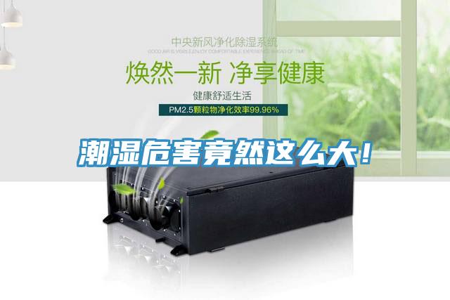 潮湿危害竟然这么大！