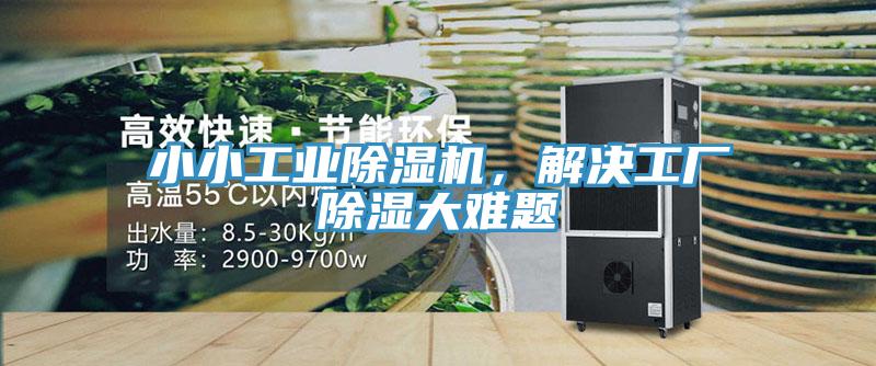 小小工业小黄片直播视频，解决工厂除湿大难题