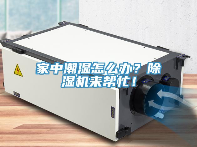 家中潮湿怎么办？小黄片直播视频来帮忙！