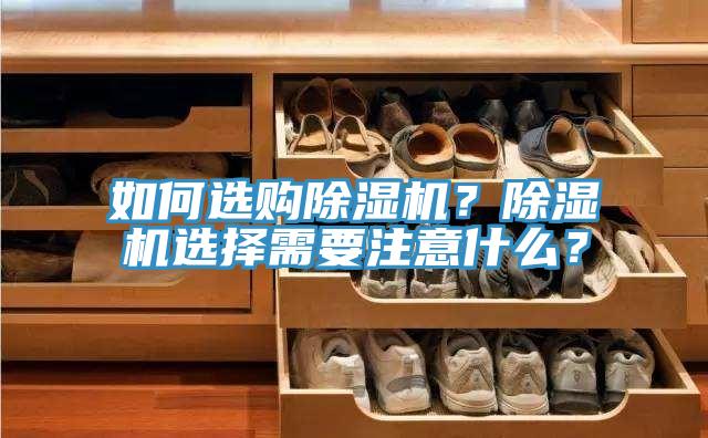 如何选购小黄片直播视频？小黄片直播视频选择需要注意什么？