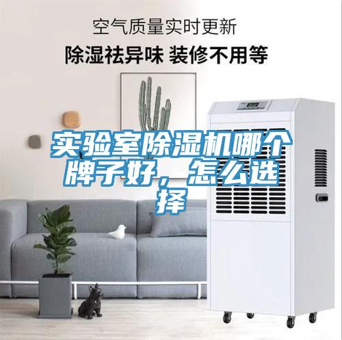 实验室小黄片直播视频哪个牌子好，怎么选择