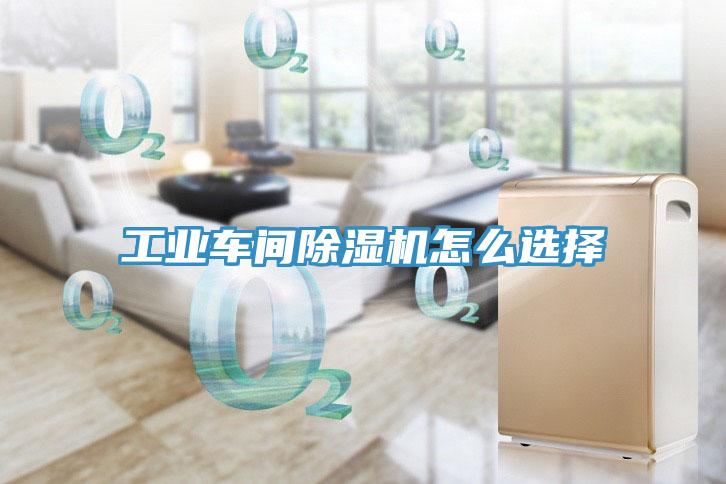 工业车间小黄片直播视频怎么选择