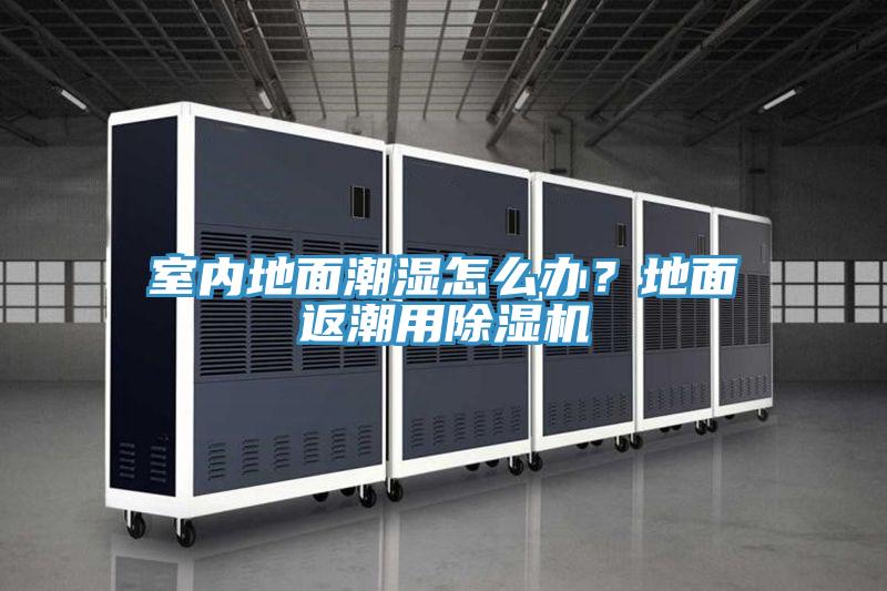 室内地面潮湿怎么办？地面返潮用小黄片直播视频