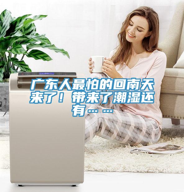 广东人最怕的回南天来了！带来了潮湿还有……