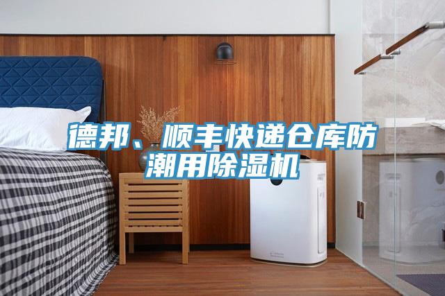 德邦、顺丰快递仓库防潮用小黄片直播视频