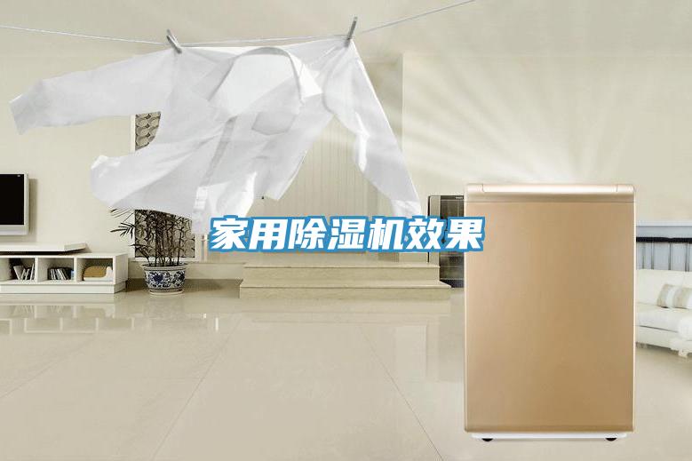 家用小黄片直播视频效果