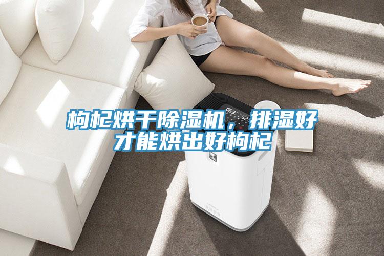 枸杞烘干小黄片直播视频，排湿好才能烘出好枸杞