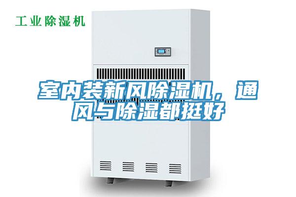 室内装新风小黄片直播视频，通风与除湿都挺好