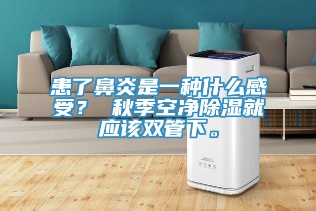 患了鼻炎是一种什么感受？ 秋季空净除湿就应该双管下。