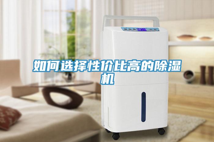 如何选择性价比高的小黄片直播视频
