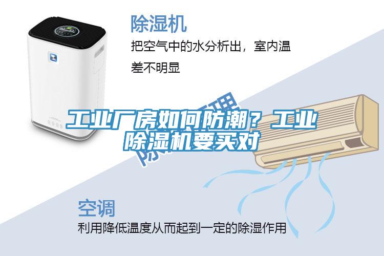 工业厂房如何防潮？工业小黄片直播视频要买对