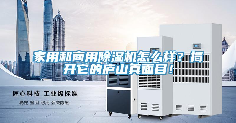 家用和商用小黄片直播视频怎么样？揭开它的庐山真面目！