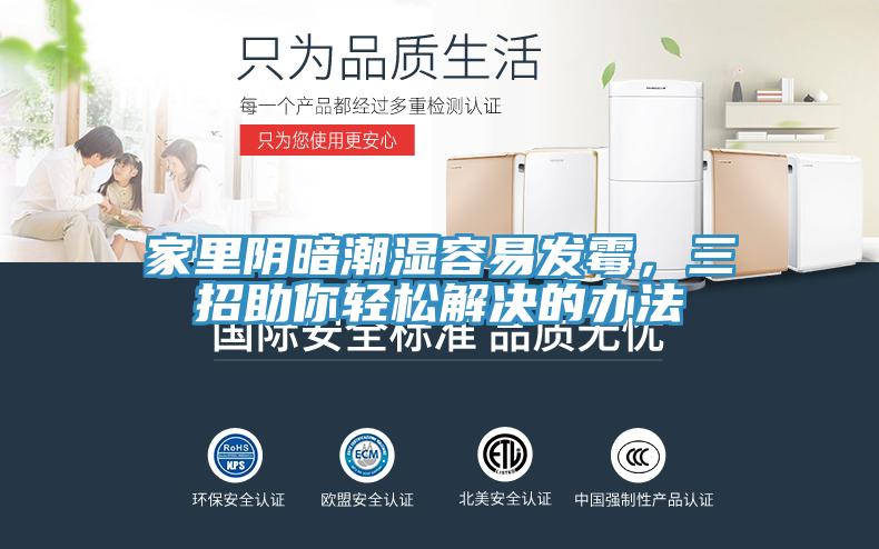 家里阴暗潮湿容易发霉，三招助你轻松解决的办法