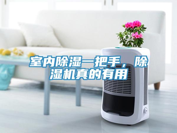 室内除湿一把手，小黄片直播视频真的有用