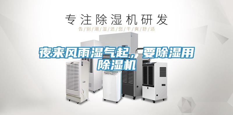夜来风雨湿气起，要除湿用小黄片直播视频