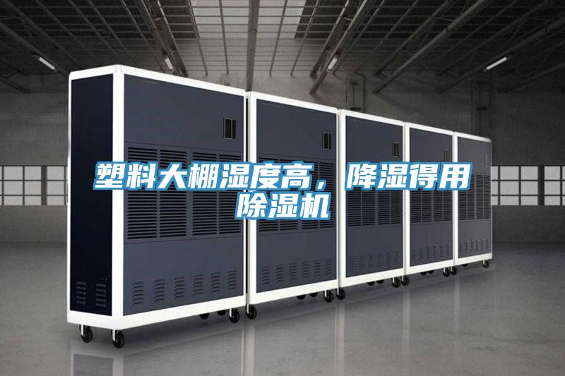 塑料大棚湿度高，降湿得用小黄片直播视频