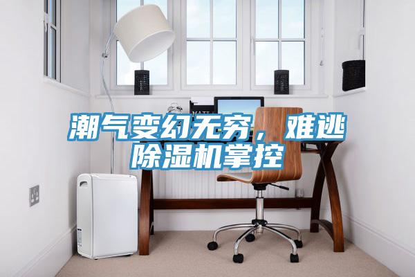 潮气变幻无穷，难逃小黄片直播视频掌控