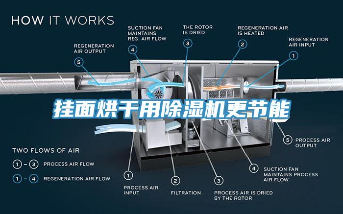 挂面烘干用小黄片直播视频更节能