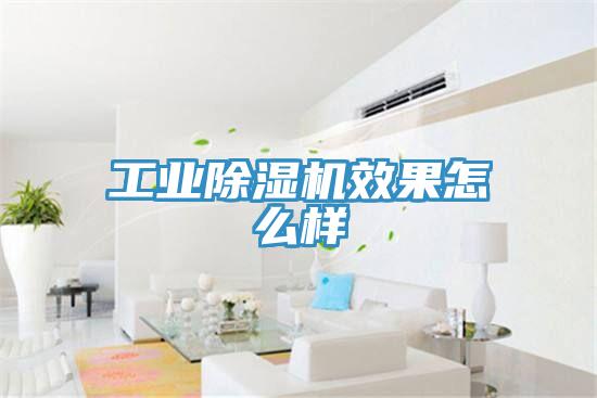 工业小黄片直播视频效果怎么样