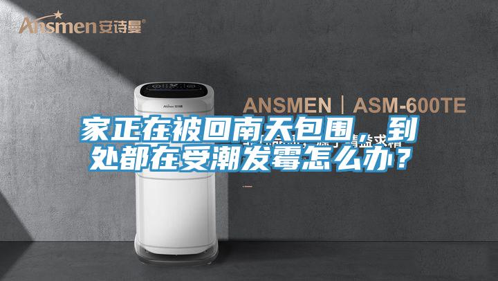 家正在被回南天包围，到处都在受潮发霉怎么办？