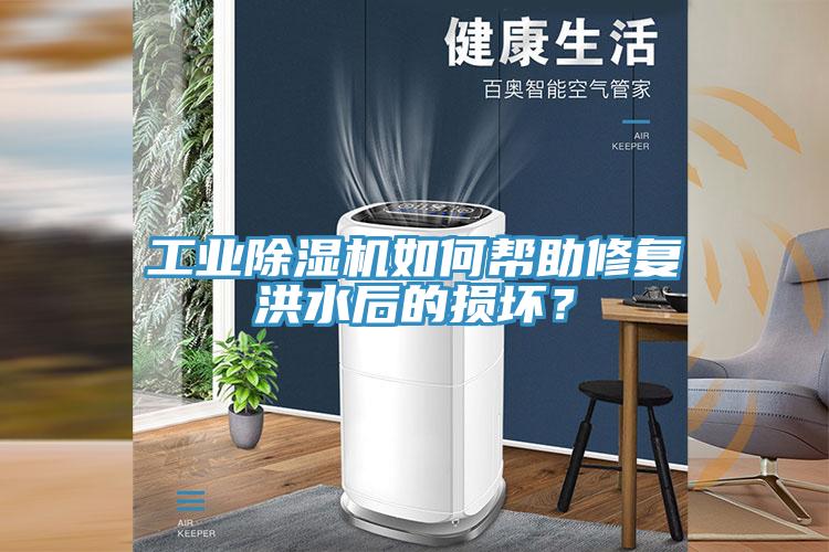 工业小黄片直播视频如何帮助修复洪水后的损坏？