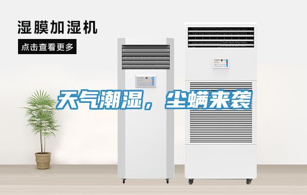 天气潮湿，尘螨来袭
