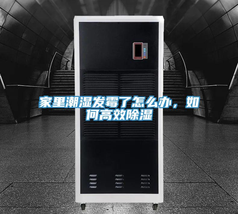 家里潮湿发霉了怎么办，如何高效除湿