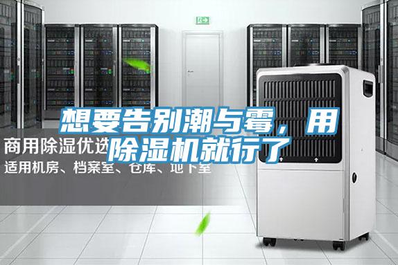 想要告别潮与霉，用小黄片直播视频就行了