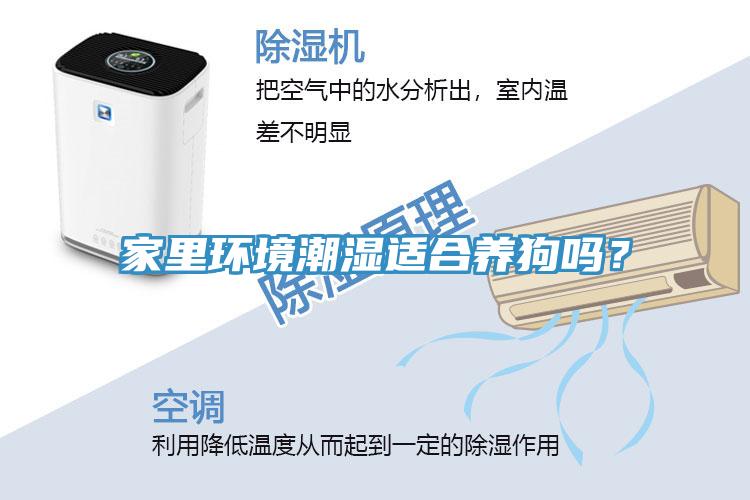 家里环境潮湿适合养狗吗？