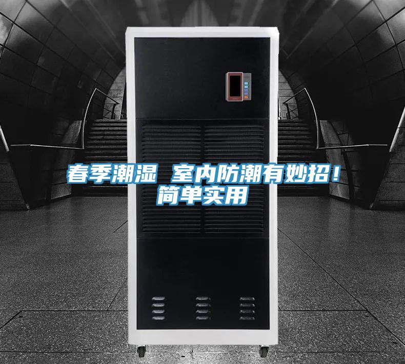 春季潮湿 室内防潮有妙招！简单实用