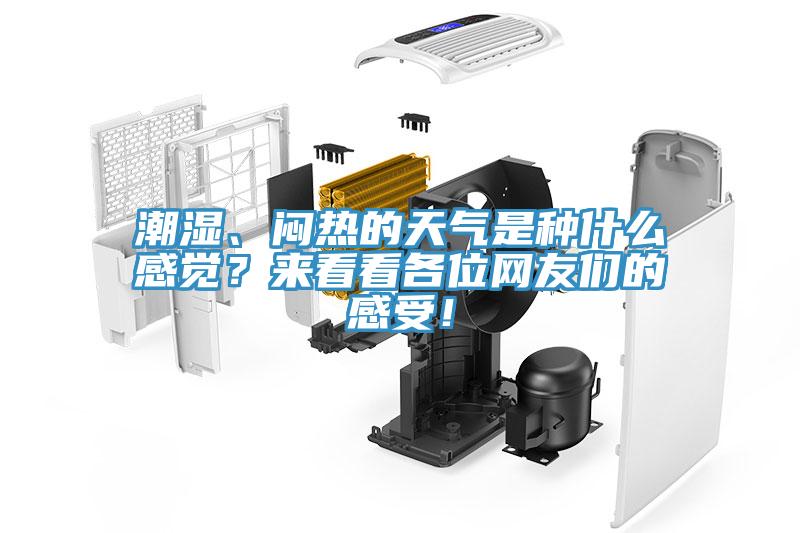 潮湿、闷热的天气是种什么感觉？来看看各位网友们的感受！
