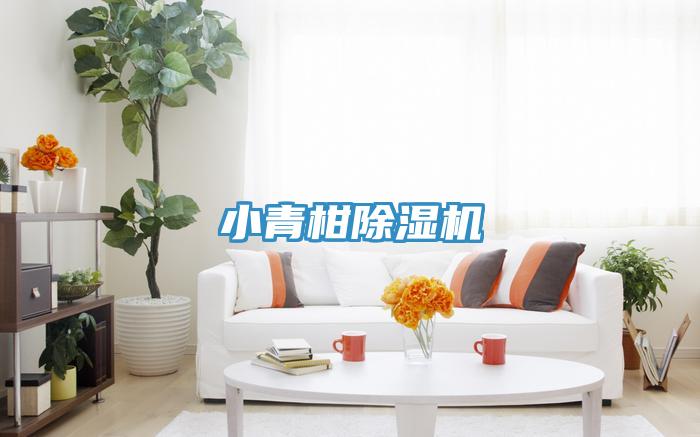 小青柑小黄片直播视频