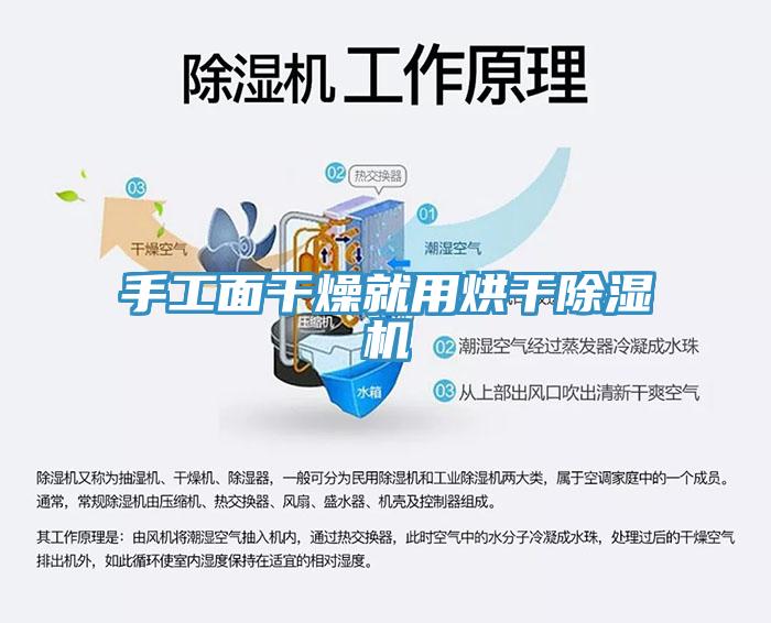 手工面干燥就用烘干小黄片直播视频