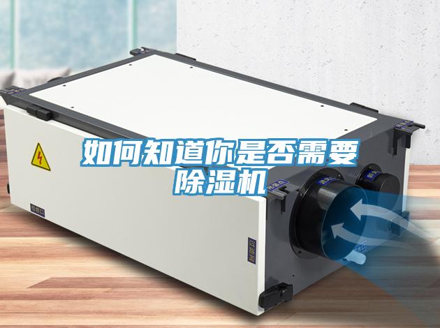 如何知道你是否需要小黄片直播视频