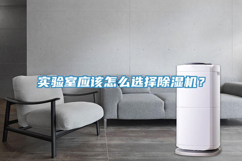 实验室应该怎么选择小黄片直播视频？