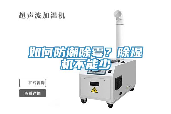 如何防潮除霉？小黄片直播视频不能少