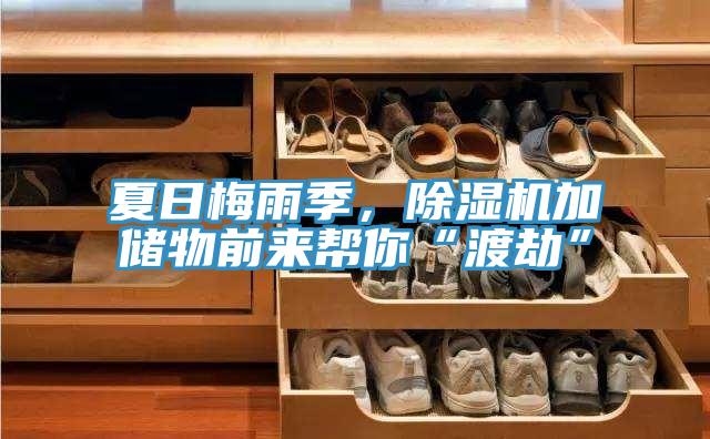 夏日梅雨季，小黄片直播视频加储物前来帮你“渡劫”