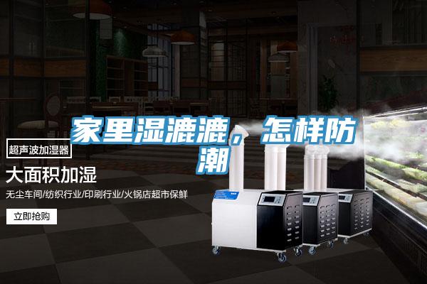 家里湿漉漉，怎样防潮