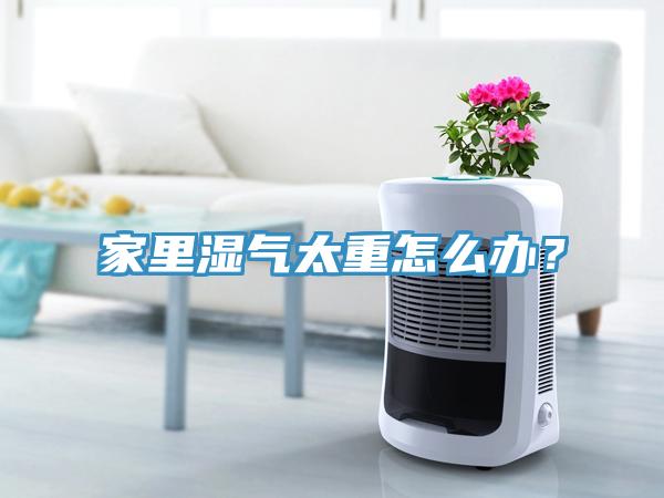 家里湿气太重怎么办？